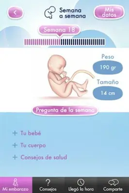 Mi Embarazo android App screenshot 3